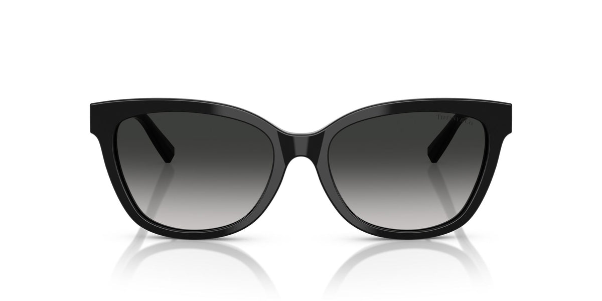 Tiffany 0TF4237B 80013C 55 Black / Grey Gradient