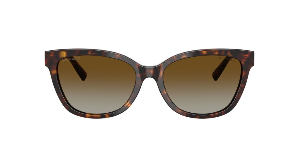 Tiffany 0TF4237B 8015T5 55 Havana / Polar Brown Gradient  Polarised