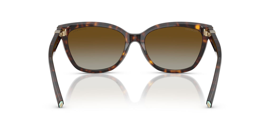 Tiffany 0TF4237B 8015T5 55 Havana / Polar Brown Gradient  Polarised