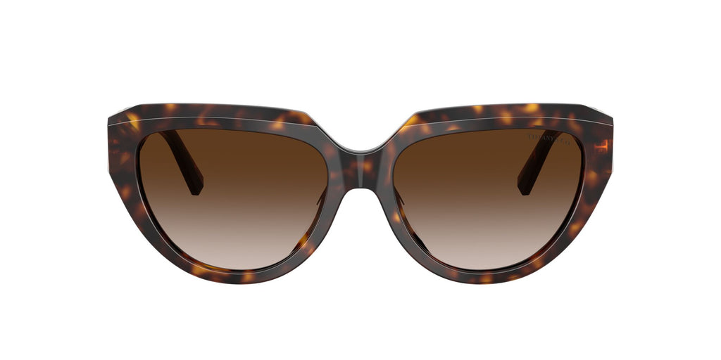 Tiffany 0TF4238U 80153B 55 Havana / Brown Gradient
