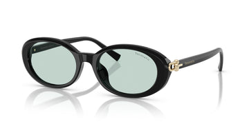 Tiffany 0TF4242D 8001D9 54 Black / Light Azure