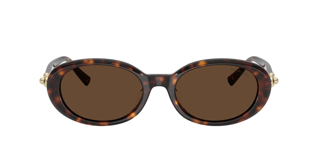 Tiffany 0TF4242D 80153G 54 Havana / Light Brown