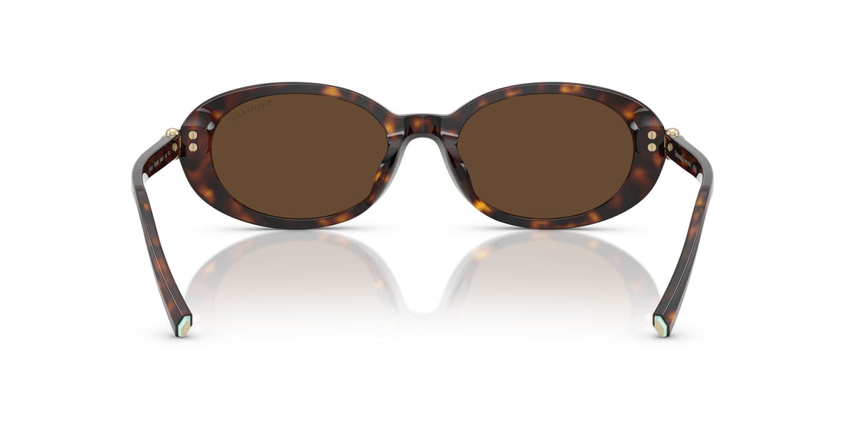 Tiffany 0TF4242D 80153G 54 Havana / Light Brown