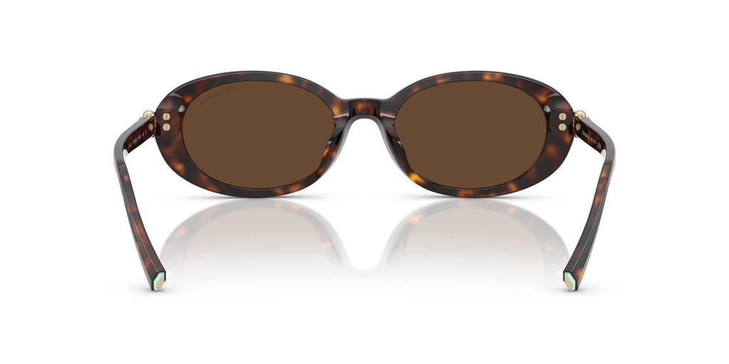 Tiffany 0TF4242D 80153G 54 Havana / Light Brown
