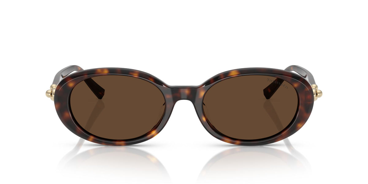 Tiffany 0TF4242D 80153G 54 Havana / Light Brown