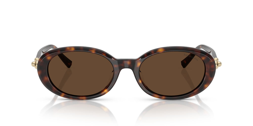 Tiffany 0TF4242D 80153G 54 Havana / Light Brown