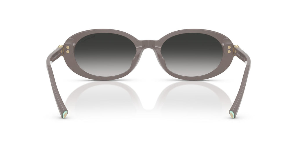 Tiffany 0TF4242D 84013C 54 Chocolate Truffle / Grey Gradient