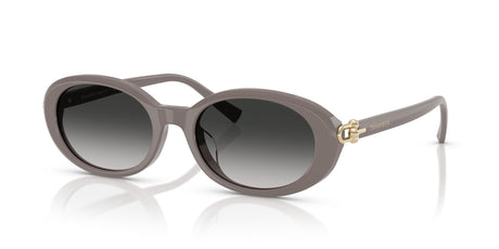 Tiffany 0TF4242D 84013C 54 Chocolate Truffle / Grey Gradient