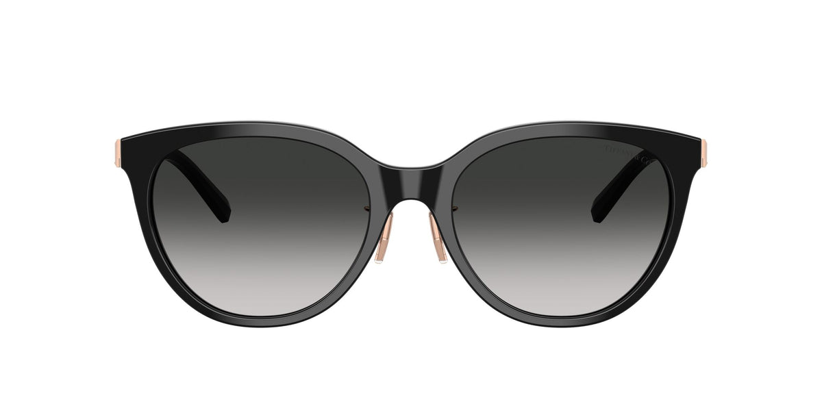 Tiffany 0TF4243D 80013C 55 Black / Grey Gradient