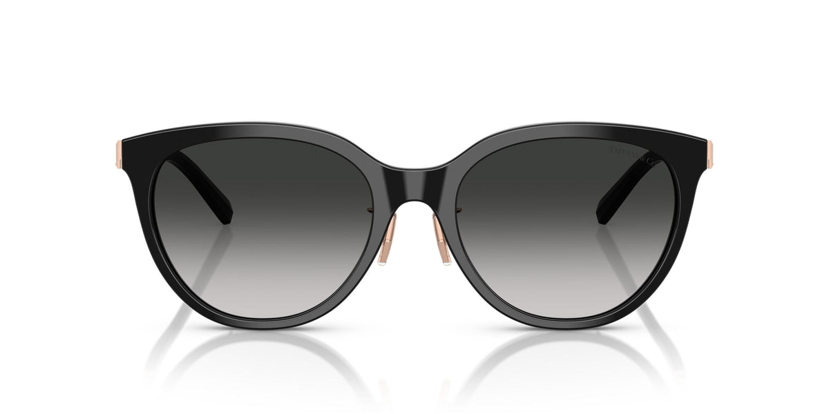 Tiffany 0TF4243D 80013C 55 Black / Grey Gradient