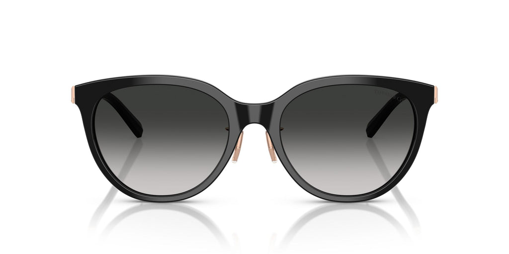 Tiffany 0TF4243D 80013C 55 Black / Grey Gradient