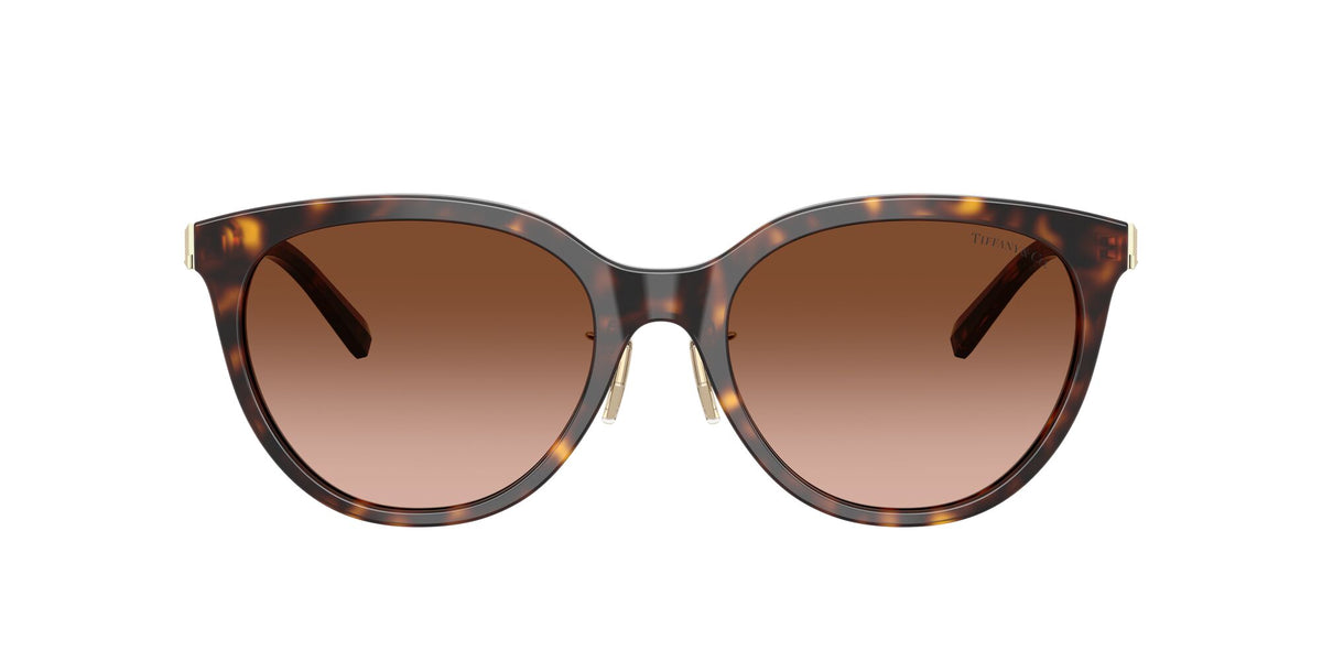 Tiffany 0TF4243D 80153B 55 Havana / Brown Gradient