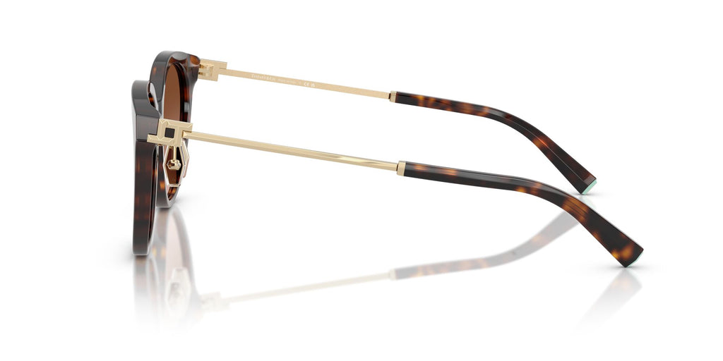 Tiffany 0TF4243D 80153B 55 Havana / Brown Gradient