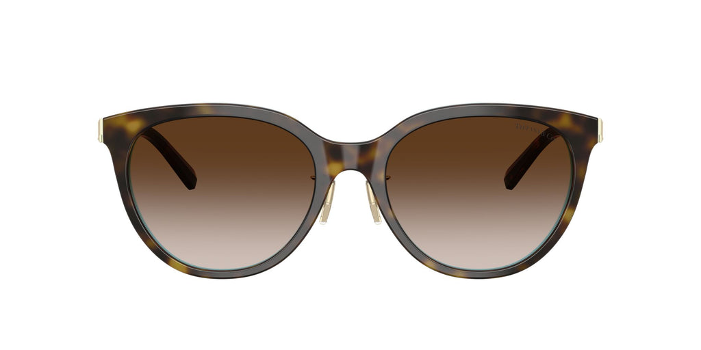 Tiffany 0TF4243D 81343B 55 Havana On Tiffany Blue / Brown Gradient
