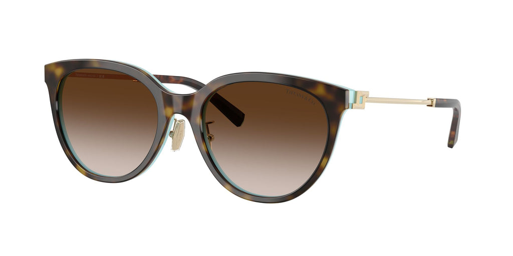 Tiffany 0TF4243D 81343B 55 Havana On Tiffany Blue / Brown Gradient