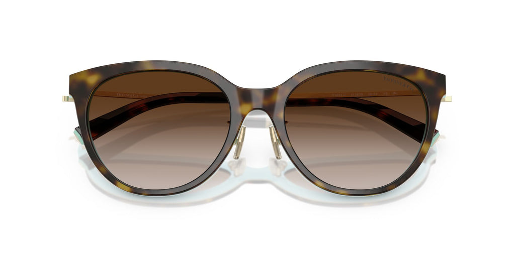 Tiffany 0TF4243D 81343B 55 Havana On Tiffany Blue / Brown Gradient