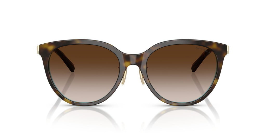 Tiffany 0TF4243D 81343B 55 Havana On Tiffany Blue / Brown Gradient