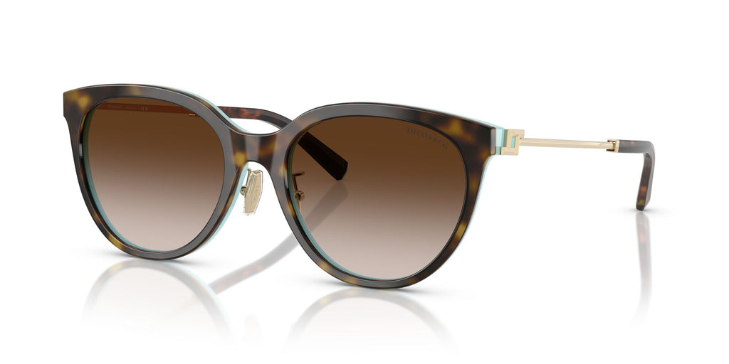 Tiffany 0TF4243D 81343B 55 Havana On Tiffany Blue / Brown Gradient