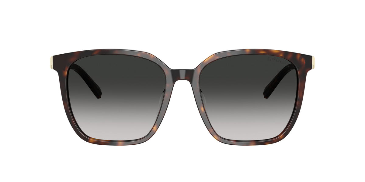 Tiffany 0TF4244D 80153C 56 Havana / Grey Gradient