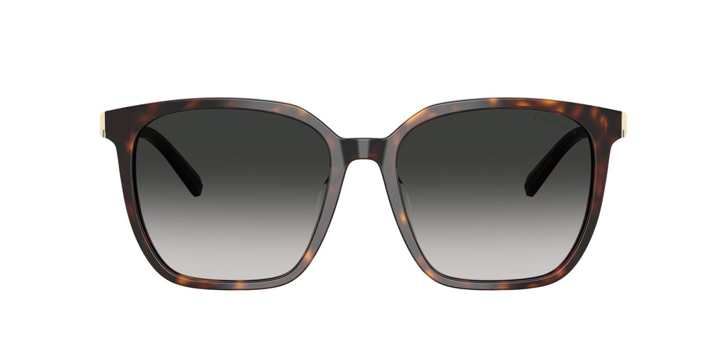 Tiffany 0TF4244D 80153C 56 Havana / Grey Gradient
