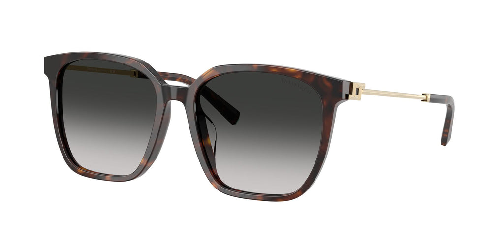 Tiffany 0TF4244D 80153C 56 Havana / Grey Gradient