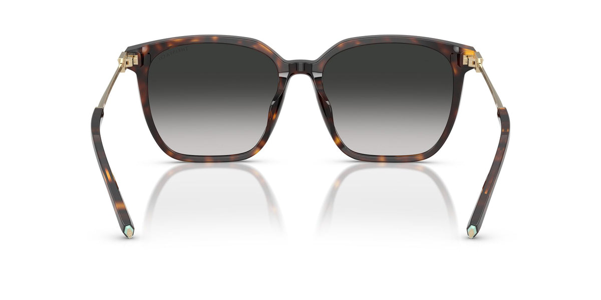 Tiffany 0TF4244D 80153C 56 Havana / Grey Gradient