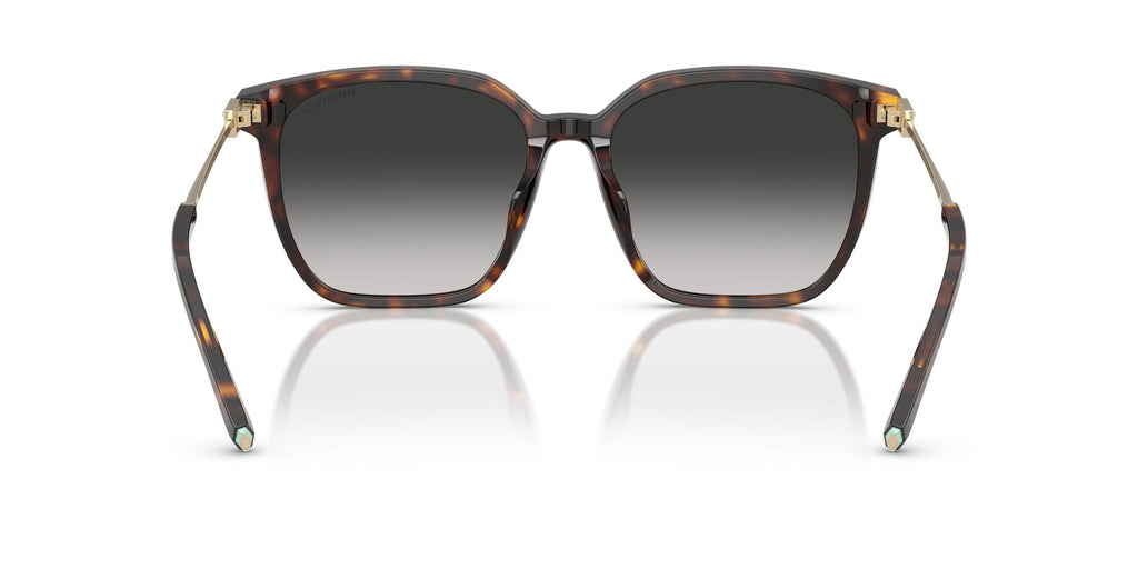 Tiffany 0TF4244D 80153C 56 Havana / Grey Gradient