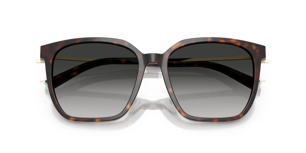 Tiffany 0TF4244D 80153C 56 Havana / Grey Gradient