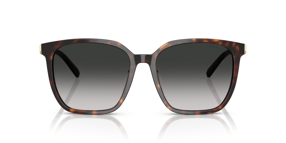 Tiffany 0TF4244D 80153C 56 Havana / Grey Gradient