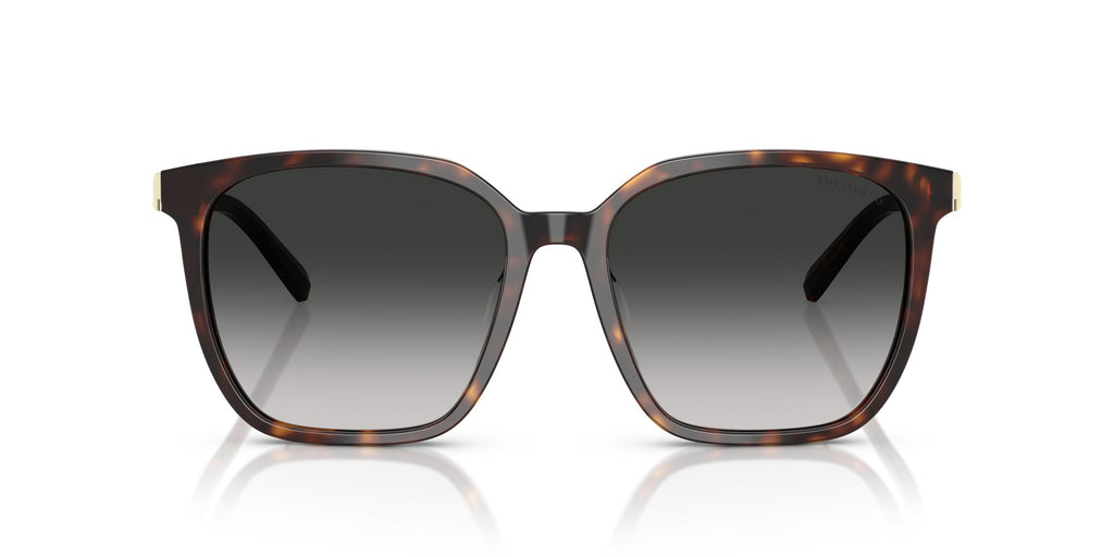 Tiffany 0TF4244D 80153C 56 Havana / Grey Gradient