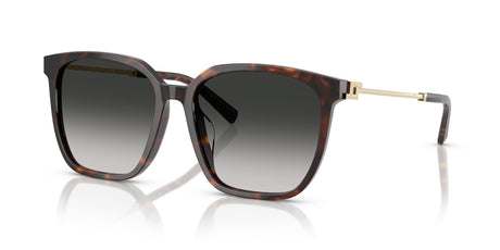 Tiffany 0TF4244D 80153C 56 Havana / Grey Gradient