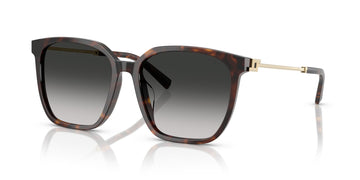 Tiffany 0TF4244D 80153C 56 Havana / Grey Gradient