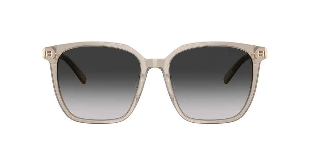 Tiffany 0TF4244D 82503C 56 Opal Taupe / Grey Gradient
