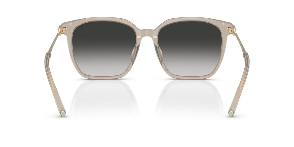 Tiffany 0TF4244D 82503C 56 Opal Taupe / Grey Gradient