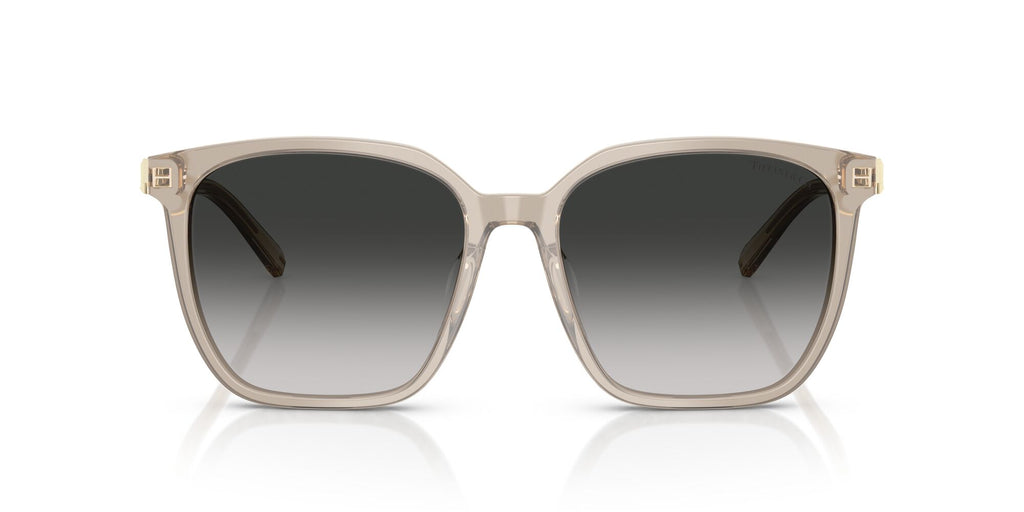 Tiffany 0TF4244D 82503C 56 Opal Taupe / Grey Gradient