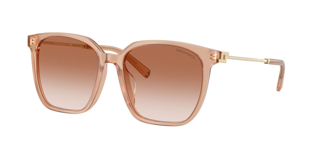 Tiffany 0TF4244D 826813 56 Opal Nude / Pink Gradient