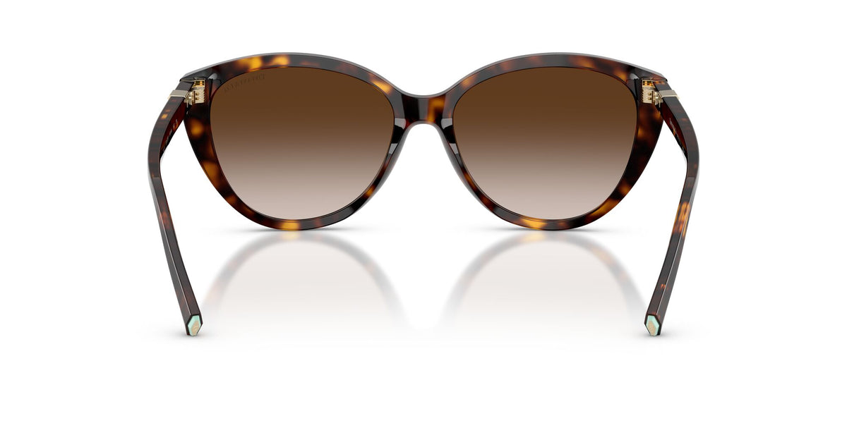 Tiffany 0TF4251 80153B 56 Havana/ Brown Gradient