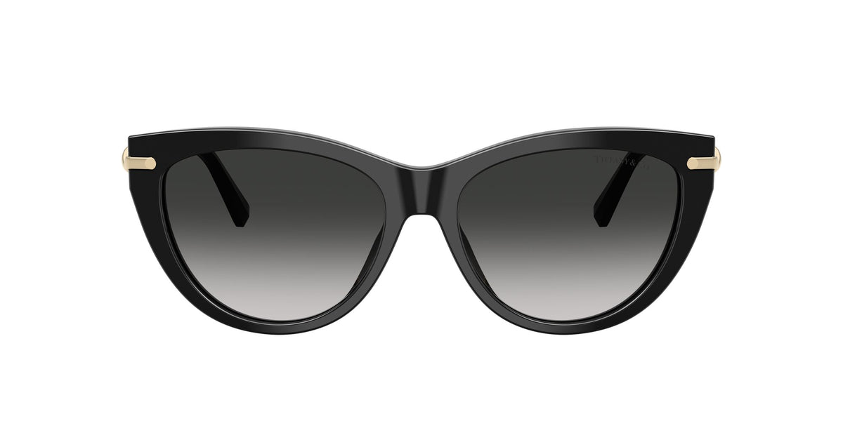 Tiffany 0TF4253F 80013C 55 Black/ Grey Gradient