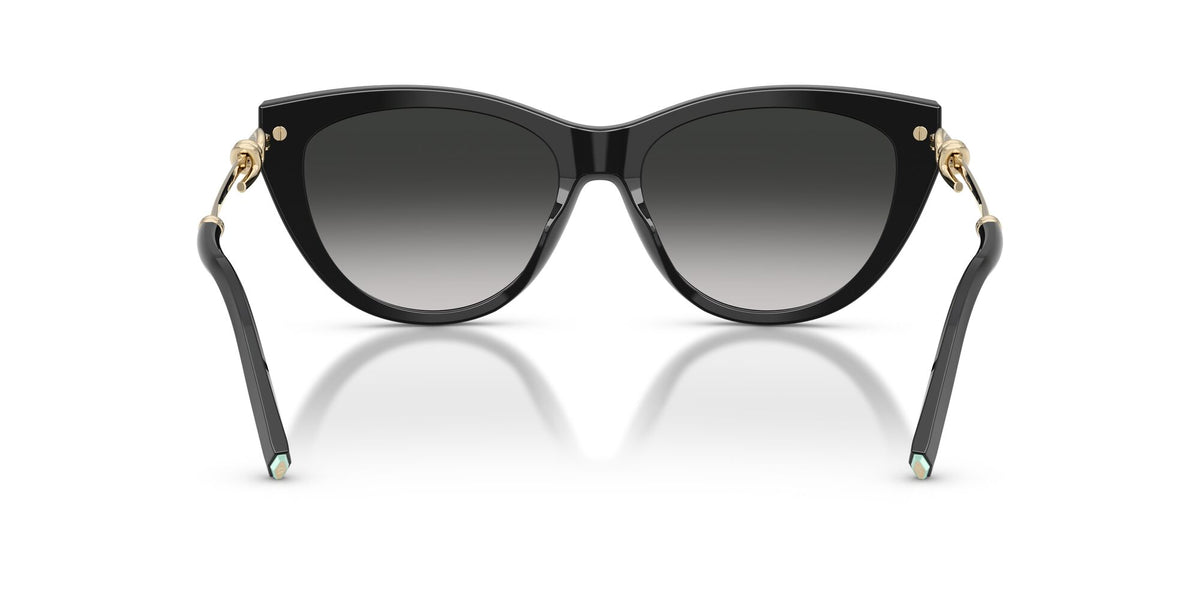 Tiffany 0TF4253F 80013C 55 Black/ Grey Gradient