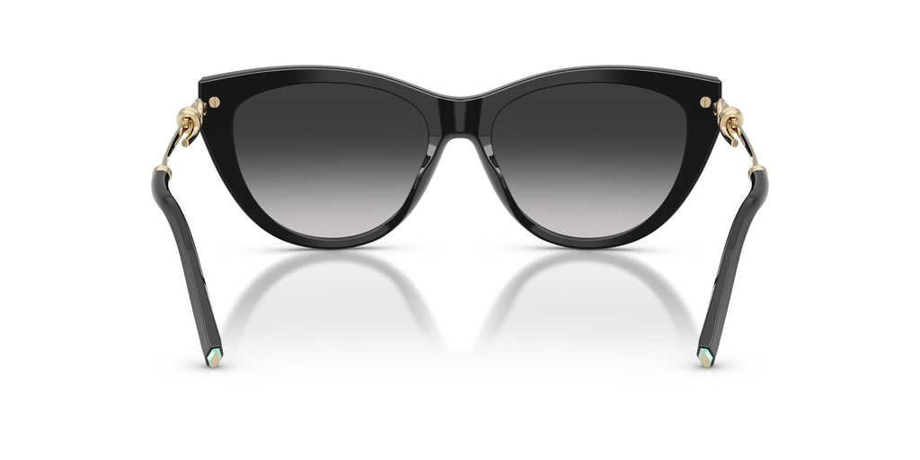 Tiffany 0TF4253F 80013C 55 Black/ Grey Gradient