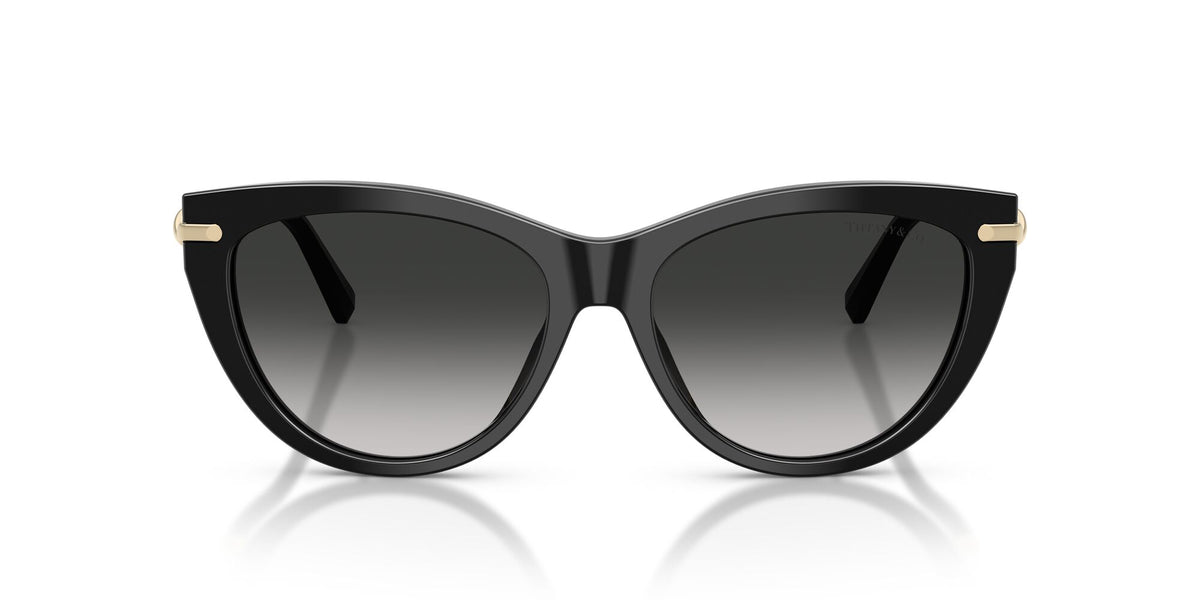Tiffany 0TF4253F 80013C 55 Black/ Grey Gradient