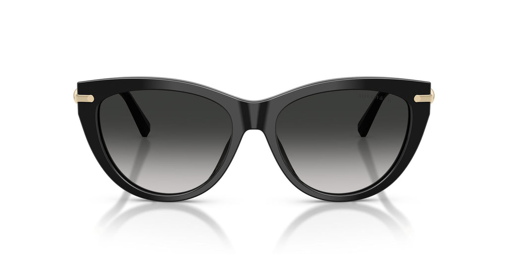 Tiffany 0TF4253F 80013C 55 Black/ Grey Gradient