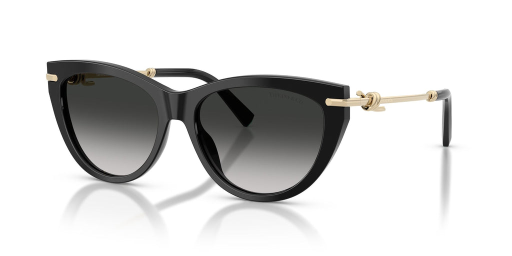 Tiffany 0TF4253F 80013C 55 Black/ Grey Gradient
