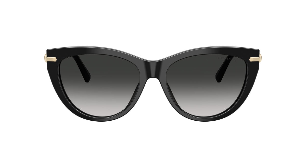 Tiffany 0TF4253 80013C 55 Black/ Grey Gradient