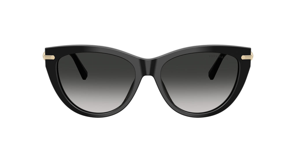 Tiffany 0TF4253 80013C 55 Black/ Grey Gradient