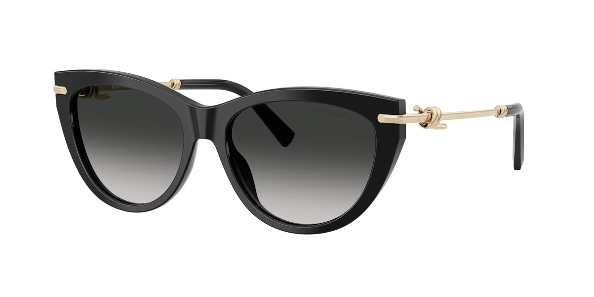 Tiffany 0TF4253 80013C 55 Black/ Grey Gradient