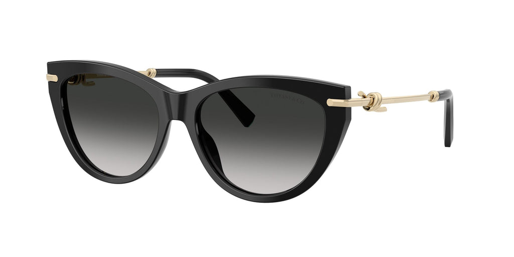 Tiffany 0TF4253 80013C 55 Black/ Grey Gradient