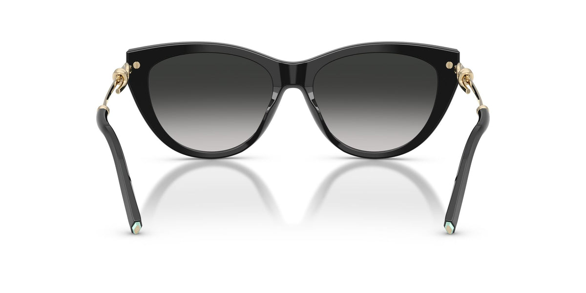 Tiffany 0TF4253 80013C 55 Black/ Grey Gradient