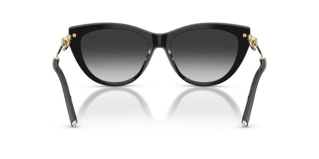 Tiffany 0TF4253 80013C 55 Black/ Grey Gradient