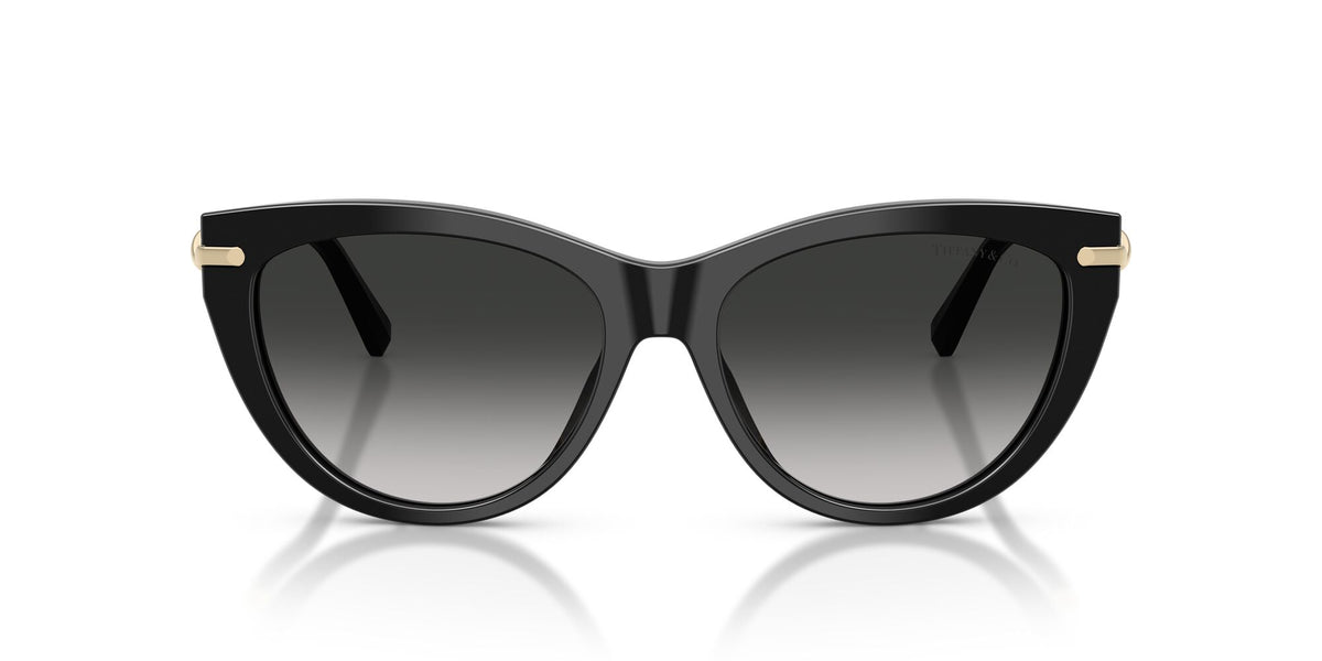 Tiffany 0TF4253 80013C 55 Black/ Grey Gradient